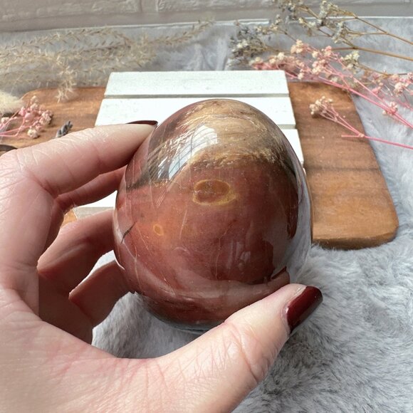 Gorgeous Large Petrified Wood Egg - Picture 6 of 9